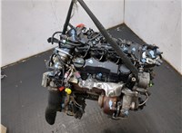 7M5Q6006AA, 1679684 Двигатель (ДВС) Ford Focus 2 2008-2011 20440346 #6