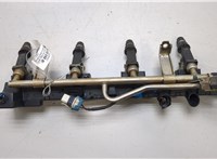  Форсунка топливная Opel Meriva 2003-2010 20440593 #1