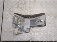 CN1516164CAW Заглушка порога Ford EcoSport 2017-2023 20441236 #1