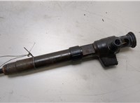 2407504 Форсунка топливная Ford Kuga 2016-2019 20441567 #1