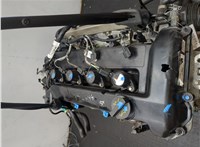 4M5G6006BAD, 1525706 Двигатель (ДВС) Ford Focus 2 2008-2011 20441727 #6