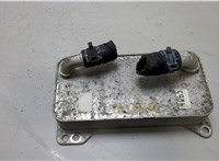0GC317019C Теплообменник Skoda Kodiaq 20441945 #1