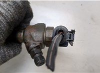  Форсунка топливная Volkswagen Tiguan 2011-2016 20442409 #2