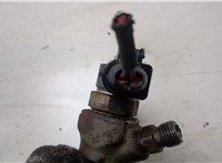  Форсунка топливная Volkswagen Tiguan 2011-2016 20442412 #2