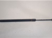  Амортизатор крышки багажника Ford Explorer 2001-2006 20442519 #1