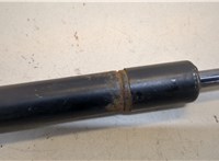 Амортизатор крышки багажника Ford Explorer 2001-2006 20442519 #2