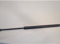  Амортизатор крышки багажника Ford Explorer 2001-2006 20442520 #1