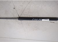 6L8Z78406A10A, YL8Z78406A11AA Амортизатор крышки багажника Ford Escape 2000-2006 20442528 #5