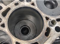  Блок цилиндров (Шорт блок) Audi A6 (C6) 2004-2011 20442642 #10