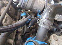 03G100037H Двигатель (ДВС) Volkswagen Golf Plus 20442854 #10