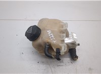 17137539267, 7539267 Бачок расширительный Mini Cooper (R56/R57) 2006-2013 20442903 #1
