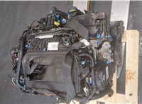 9M5Q9A543AA, 1681994 ТНВД Ford C-Max 2010-2015 11416851 #2