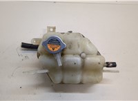21710EB31A Бачок расширительный Nissan Pathfinder 2004-2014 20443055 #1