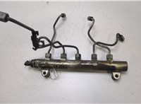 96859150 Рампа (рейка) топливная Chevrolet Captiva 2006-2011 20443228 #1