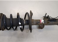  Амортизатор подвески Toyota Avensis 3 2008-2018 20443481 #1