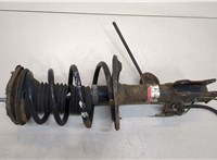  Амортизатор подвески Toyota Avensis 3 2008-2018 20443483 #1