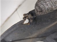 CC2956681A Обшивка капота Mazda 5 (CR) 2005-2010 20443590 #6