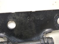 1498069080 Петля крышки багажника Fiat Scudo 2007-2016 20443987 #3