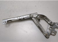  Петля капота Opel Corsa D 2006-2014 20444091 #1