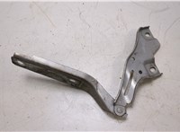  Петля капота Volkswagen Passat 8 2015- 20444194 #1