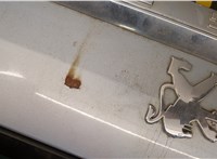  Крышка (дверь) багажника Peugeot 407 20445055 #9