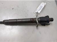 0445116016 Форсунка топливная Volvo XC60 2008-2017 20445184 #1