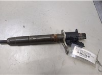 0445116016 Форсунка топливная Volvo XC60 2008-2017 20445185 #1