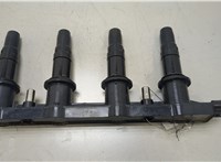 1208098, 55584404 Катушка зажигания Opel Astra J 2010-2017 20445244 #2