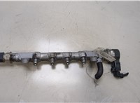  Рампа (рейка) топливная Volkswagen Passat 7 2010-2015 Европа 20445648 #1