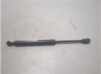 654713JA0A Амортизатор капота Infiniti QX60 2013-2020 20446197 #4