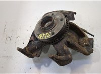  Ступица (кулак, цапфа) Volkswagen Golf 4 1997-2005 20446823 #1