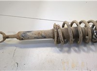  Амортизатор подвески Audi A6 (C5) 1997-2005 20446914 #1