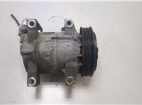  Компрессор кондиционера Nissan Primera P12 2002-2007 20446972 #1