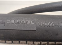 214107F000 Радиатор охлаждения двигателя Nissan Terrano 2 1993-2006 20447135 #3
