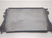 1K0145803AF Радиатор интеркулера Skoda Octavia (A5) 2004-2013 20447142 #1
