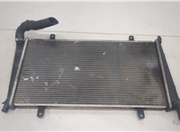  Радиатор охлаждения двигателя Volvo S40 / V40 1995-2004 20447160 #1
