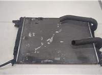  Радиатор охлаждения двигателя Nissan Qashqai 2006-2013 20447286 #1