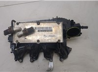 03F129709J Коллектор впускной Volkswagen Polo 2009-2014 20447413 #1