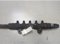  Рампа (рейка) топливная Ford Transit 2006-2014 20447583 #1