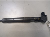 A6510702387 Форсунка топливная Mercedes E W212 2009-2016 20447597 #1