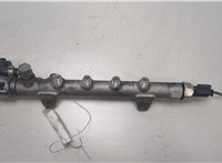  Рампа (рейка) топливная Mercedes E W212 2009-2016 20447604 #1