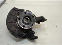  Ступица (кулак, цапфа) Seat Leon 1999-2006 20448453 #1