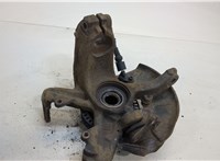  Ступица (кулак, цапфа) Seat Leon 1999-2006 20448453 #5