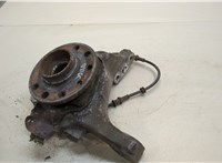  Ступица (кулак, цапфа) Opel Vectra C 2002-2008 20448458 #1