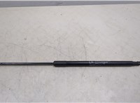  Амортизатор капота Hyundai Equus 2013-2016 20448564 #1