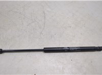  Амортизатор крышки багажника Hyundai Equus 2013-2016 20448572 #1