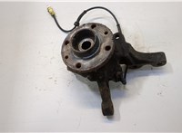  Ступица (кулак, цапфа) Renault Clio 1998-2008 20449596 #1