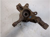 40204AX600, 40210AX000, 40014AX600 Ступица (кулак, цапфа) Nissan Micra K12E 2003-2010 20449625 #3