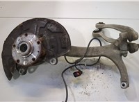  Ступица (кулак, цапфа) Audi A4 (B6) 2000-2006 20449691 #1
