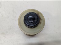  Бачок гидроусилителя Opel Movano 2010- 20449967 #1